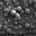 Unterm Elektronenmikroskop: Winzige Nanopartikel aus Kalzium und Kalziumfluorid lagern sich beim Ladeprozess auf der Akkuelektrode ab.