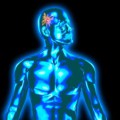 Außer ionisierender Strahlung sind keine speziellen Risikofaktoren für Hirntumoren bekannt.