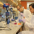 DNA-Massenspeicher: Yaniv Erlich und Dina Zielinski bei der Entwicklung ihres Datenspeichers aus Erbgut-Strängen.