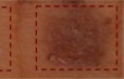 Tägliches Auftragen des Wirkstoffs auf menschliches Hautgewebe verstärkt die Pigmentierung (ganz rechts: 8. Tag, daneben zwei Kontrollen).