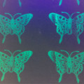 Schaltbare Geheimtinte aus Perowskit-Nanokristallen fluoresziert unter UV-Licht.