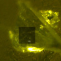 In diesem winzigen Diamanten aus Botswana (200-300 Mikrometer Durchmesser) entdeckten Geowissenschaftler eingeschlossenes Wasser im grauschattierten Bereich.