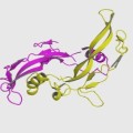 3D-Molekülstruktur des Activin-Dimers